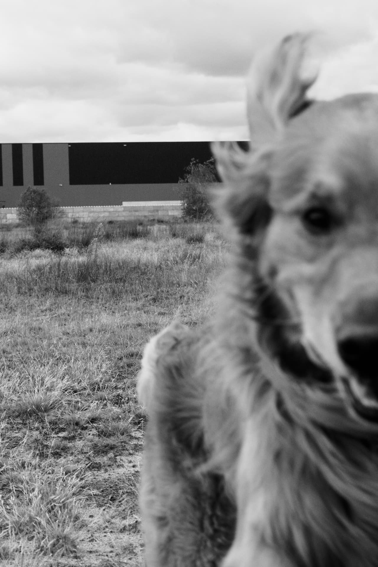 Field, warehouse