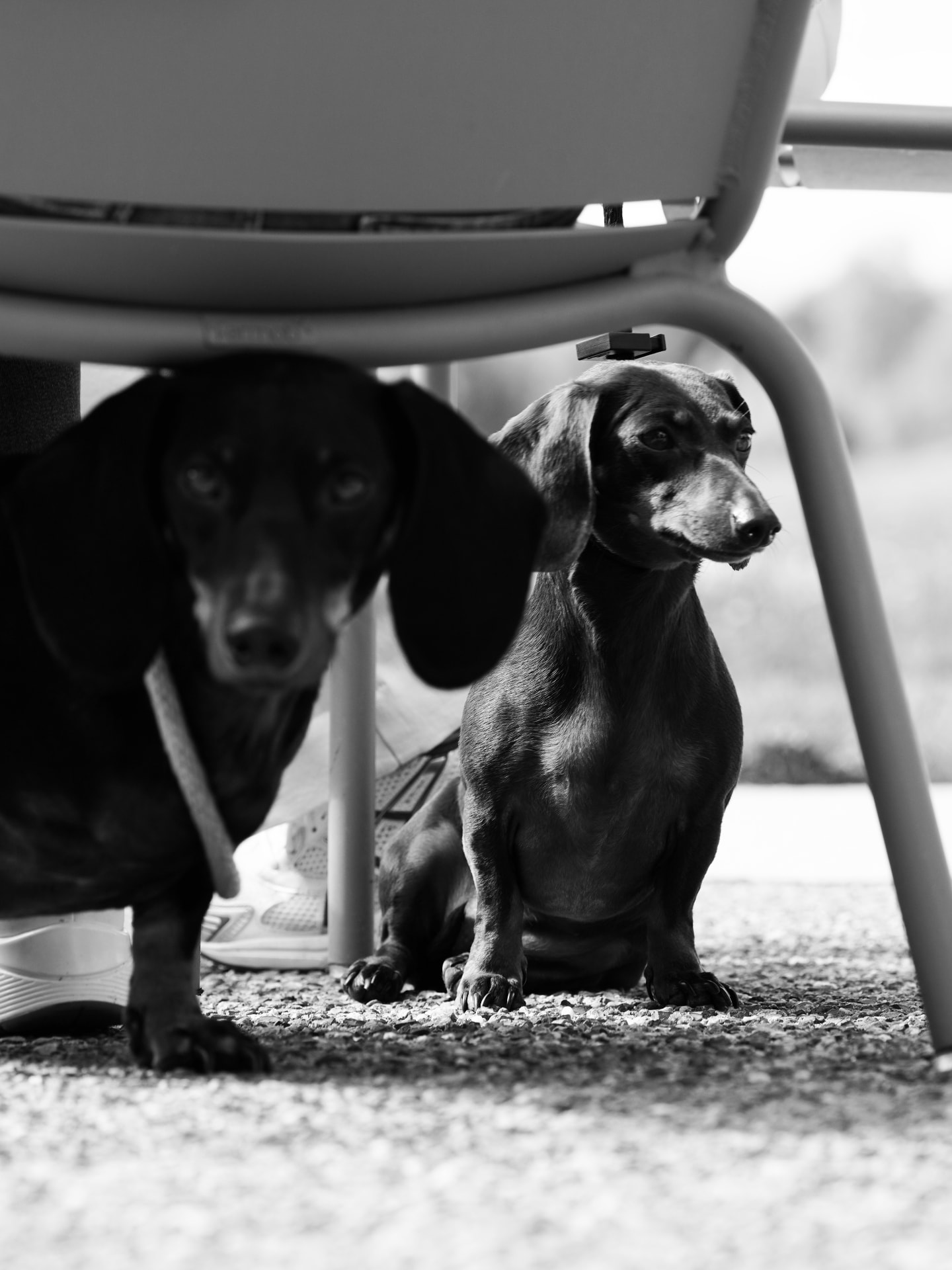 Under the chair