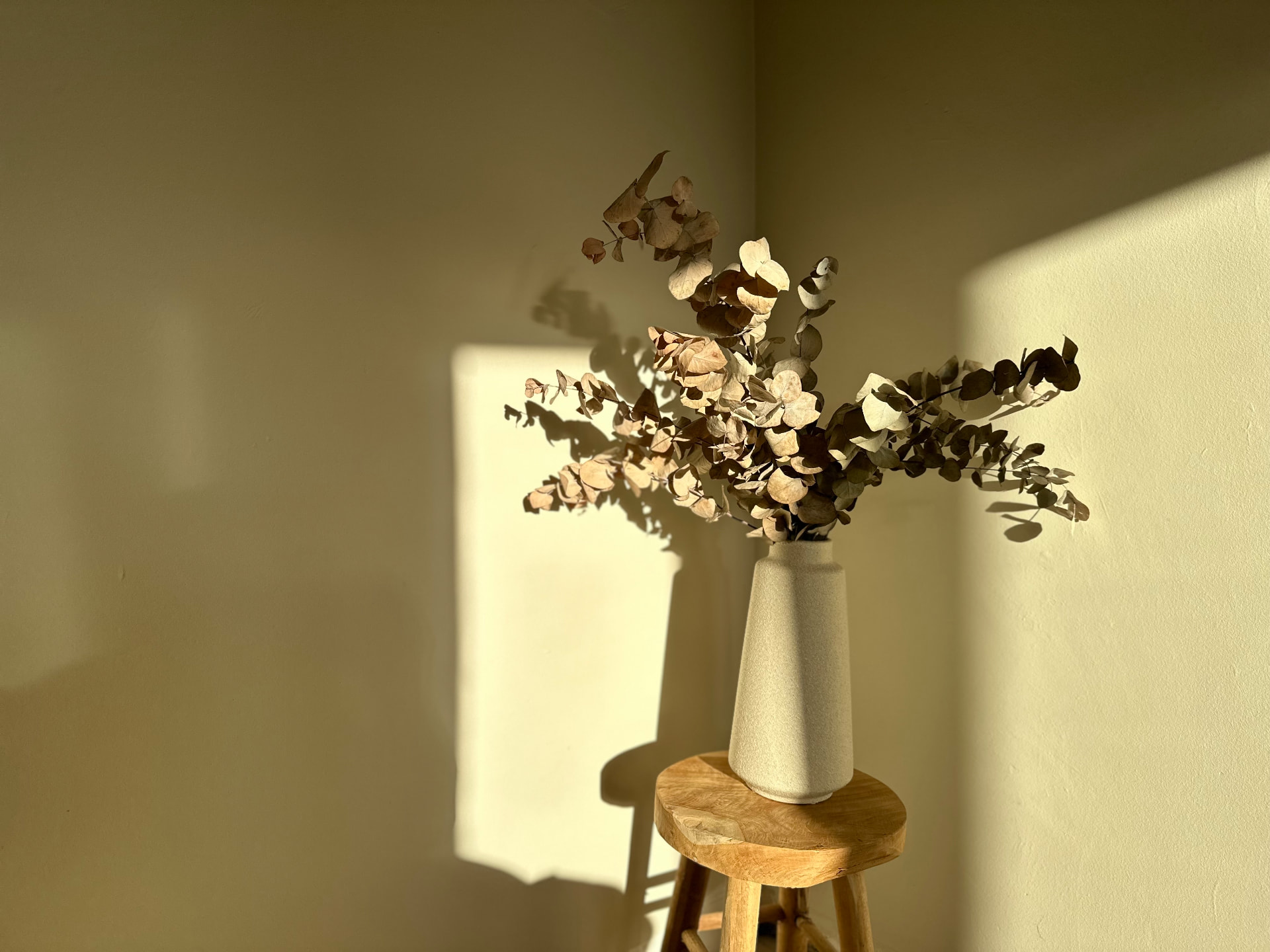 Light and shadow