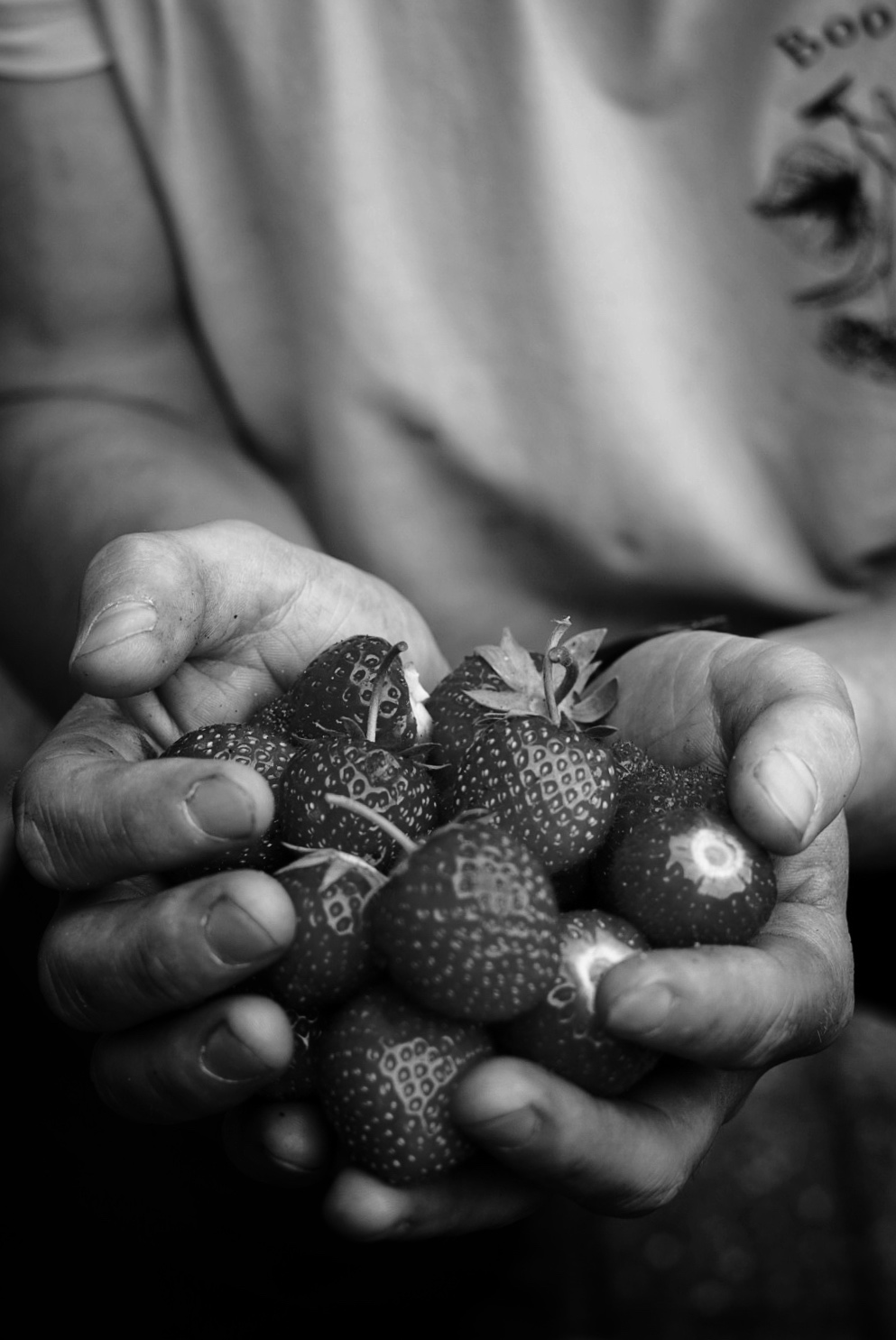 Hands, strawberries